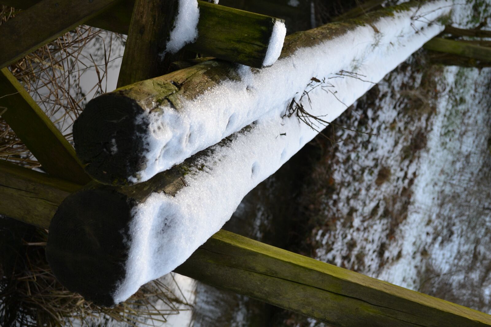 Nikon D3100 sample photo. Natural, outdoor, environment photography