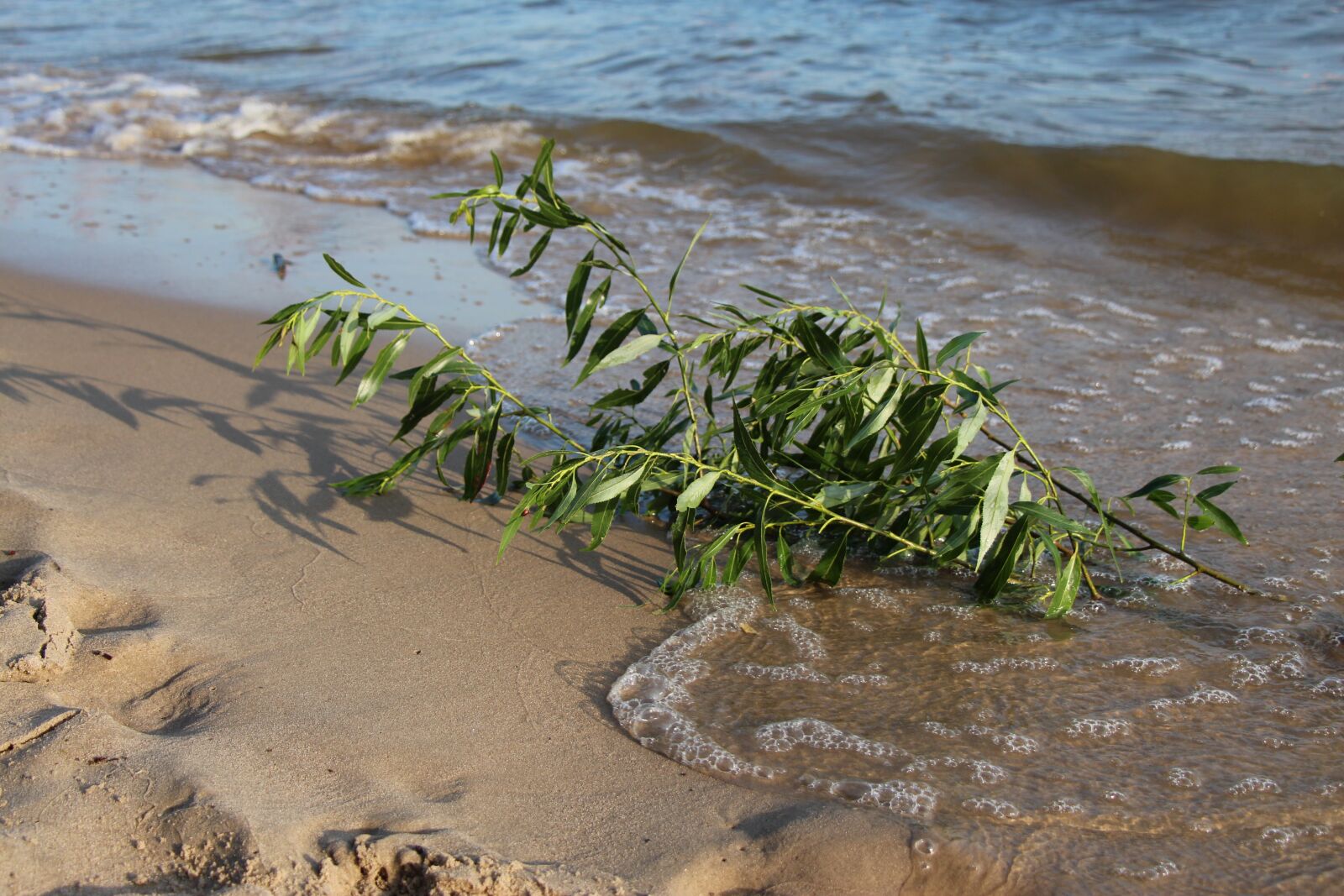 Canon EOS 650D (EOS Rebel T4i / EOS Kiss X6i) sample photo. Hamburg, elbe, beach photography
