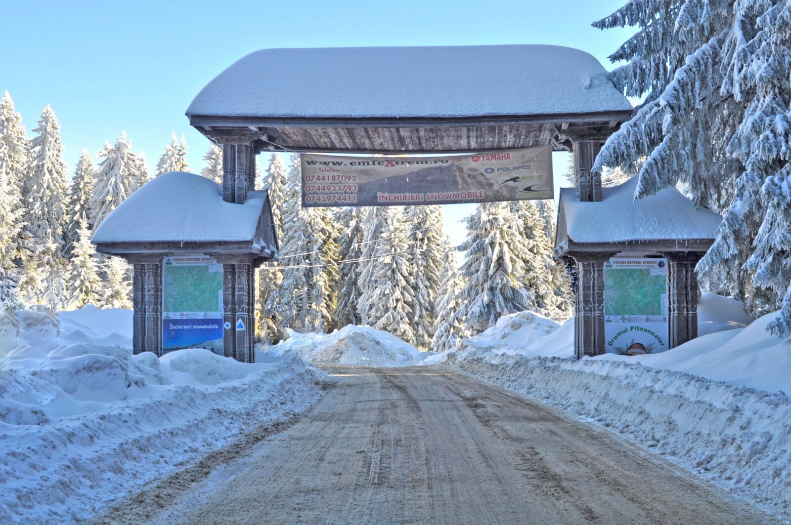 Nikon D90 sample photo. Snow, winter, wood photography