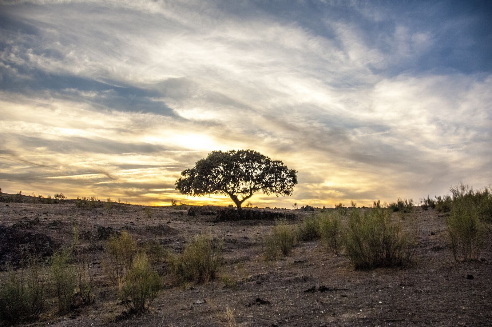 Nikon D2Xs sample photo. Landscape, panoramic, nature photography