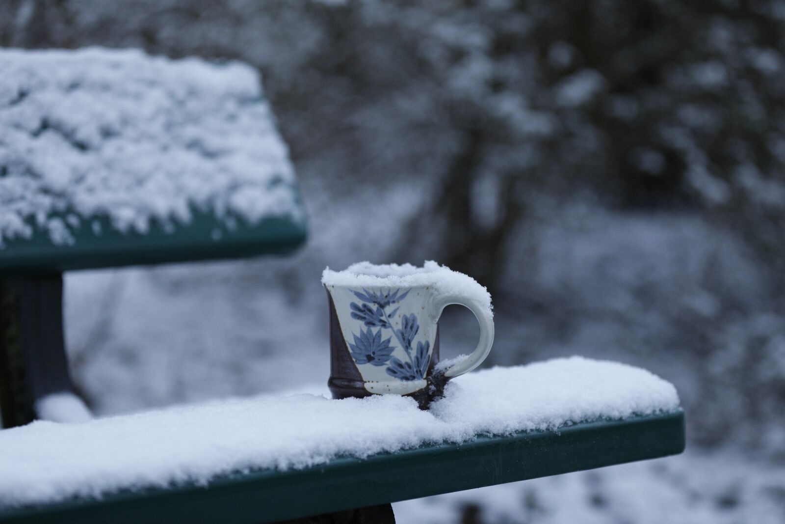 Canon EOS 5D Mark IV sample photo. Wintry, cup, bank photography