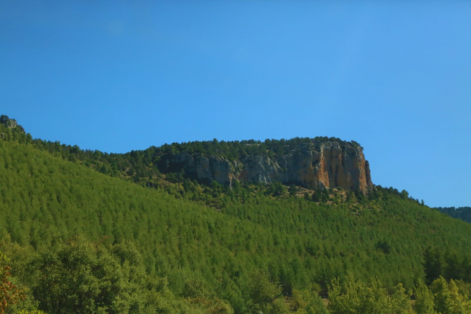 Canon EF 24-105mm F4L IS USM sample photo. Mountain, green, forest photography