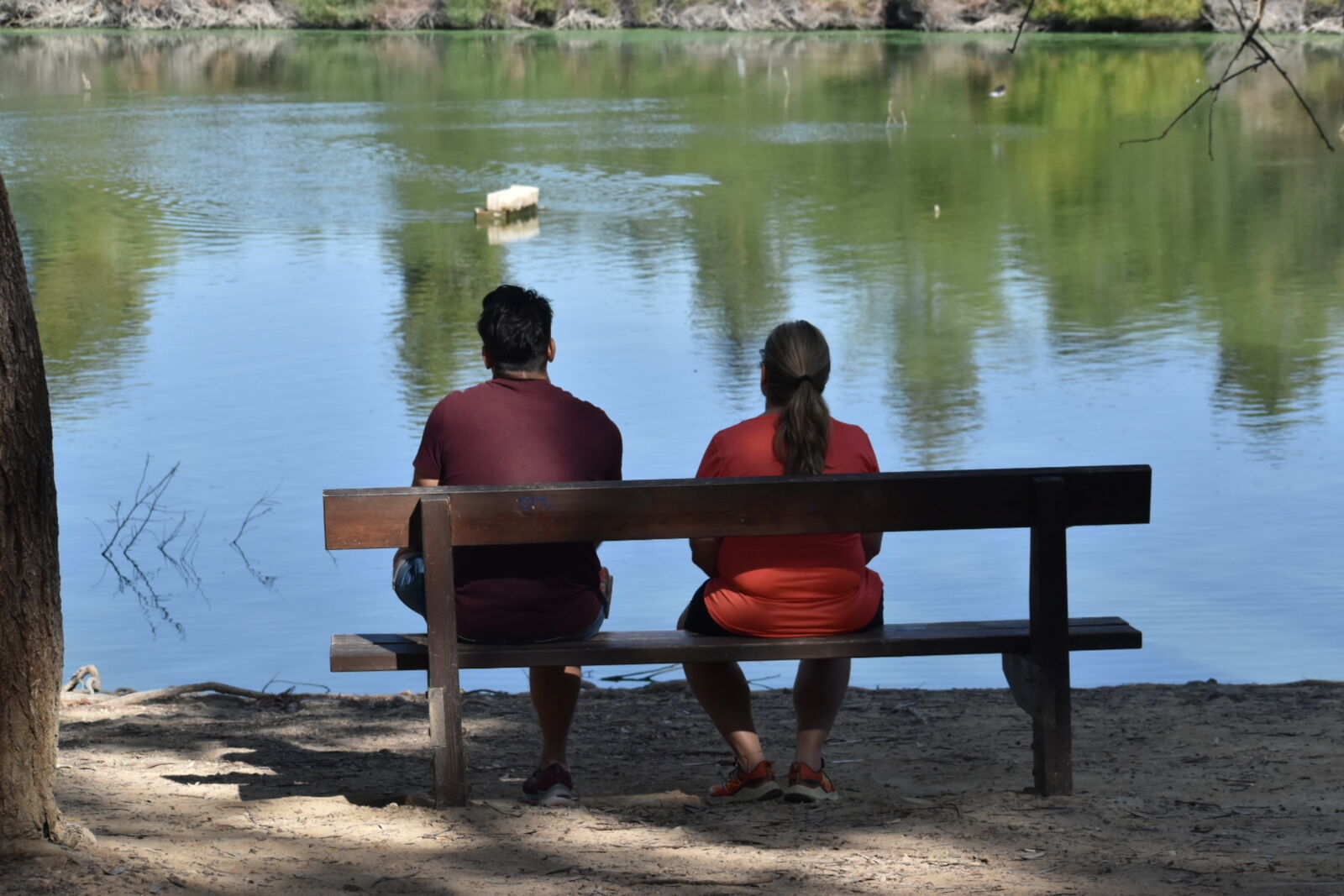 Nikon D5600 sample photo