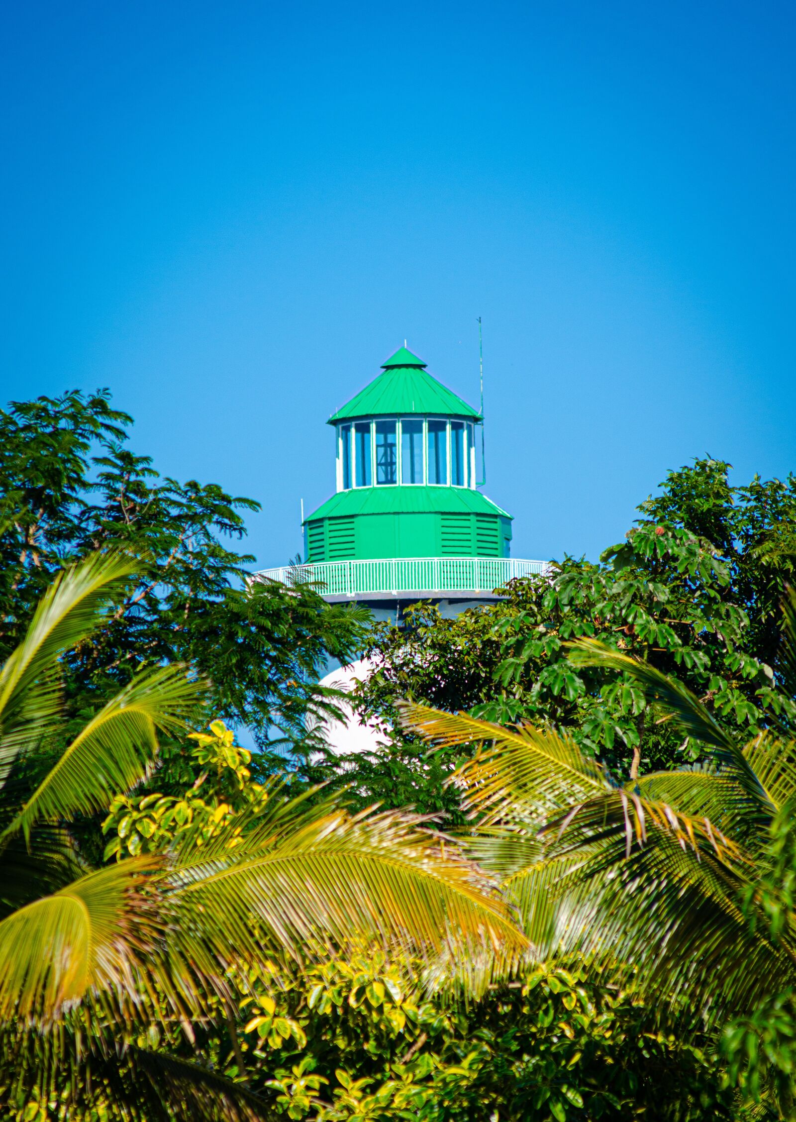 Nikon D7000 sample photo. Belize, harvest caye, ncl photography