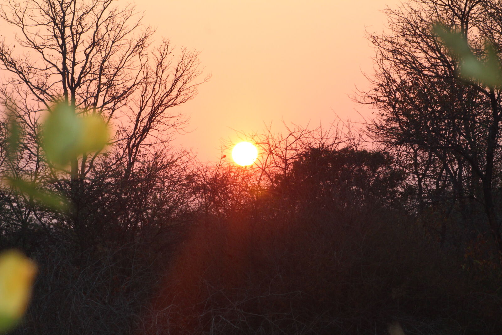 Canon EF 75-300mm f/4-5.6 sample photo. Sunrise, zimbabwe, 03 photography