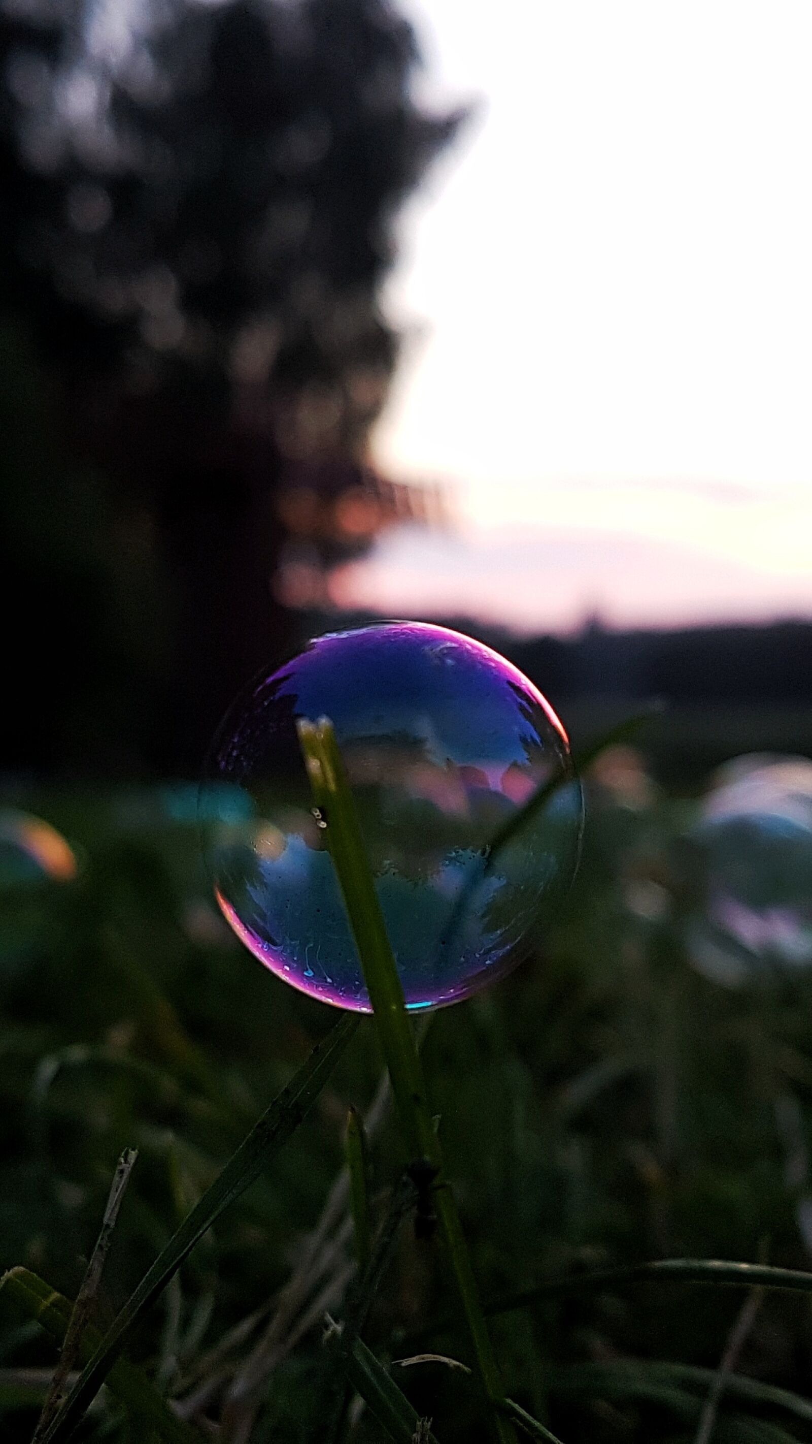 Samsung Galaxy S7 Edge sample photo. Bubbles, soap bubbles, landscape photography