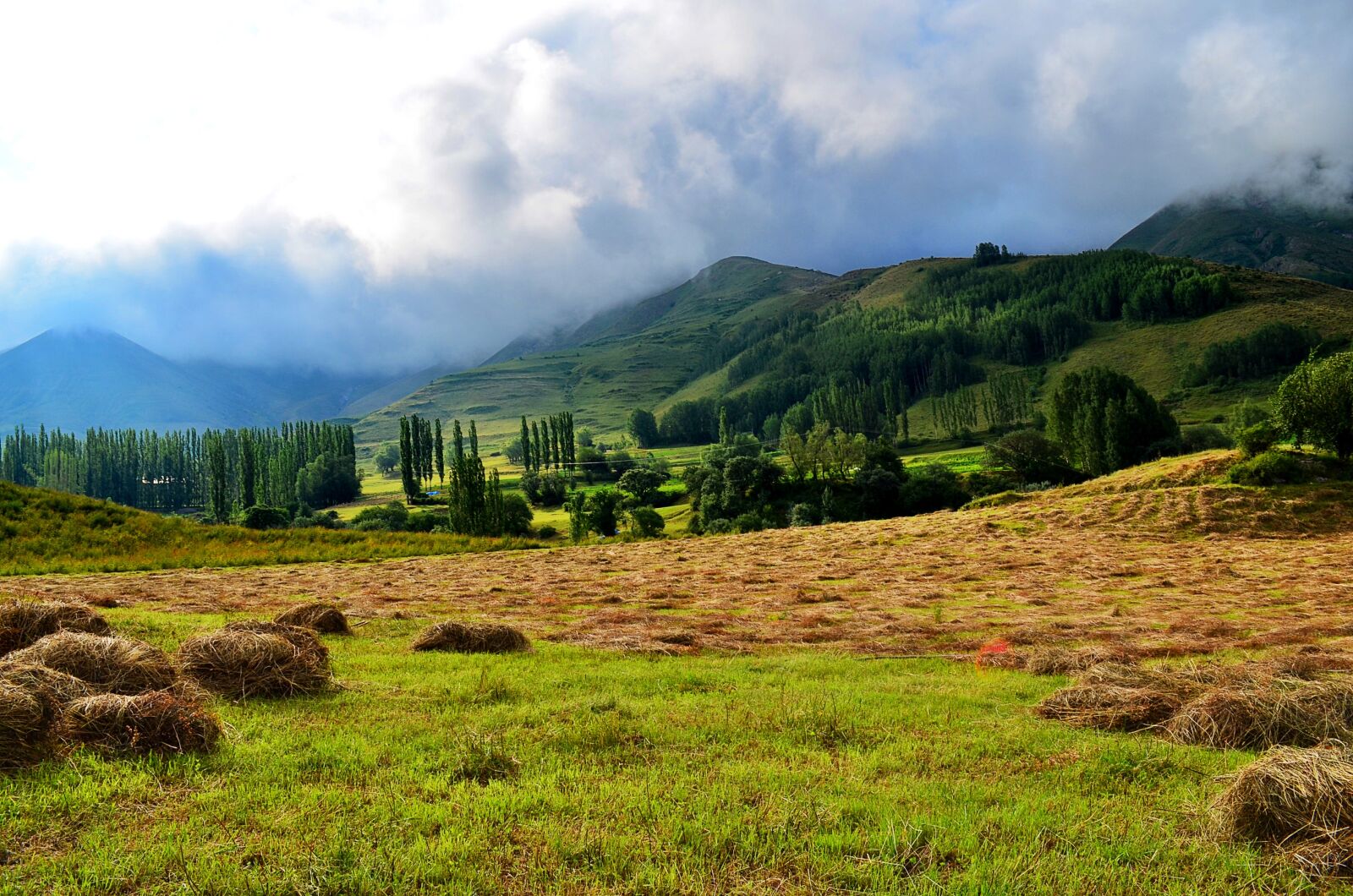 Nikon D5100 sample photo. Nature, landscape, kaçkars photography