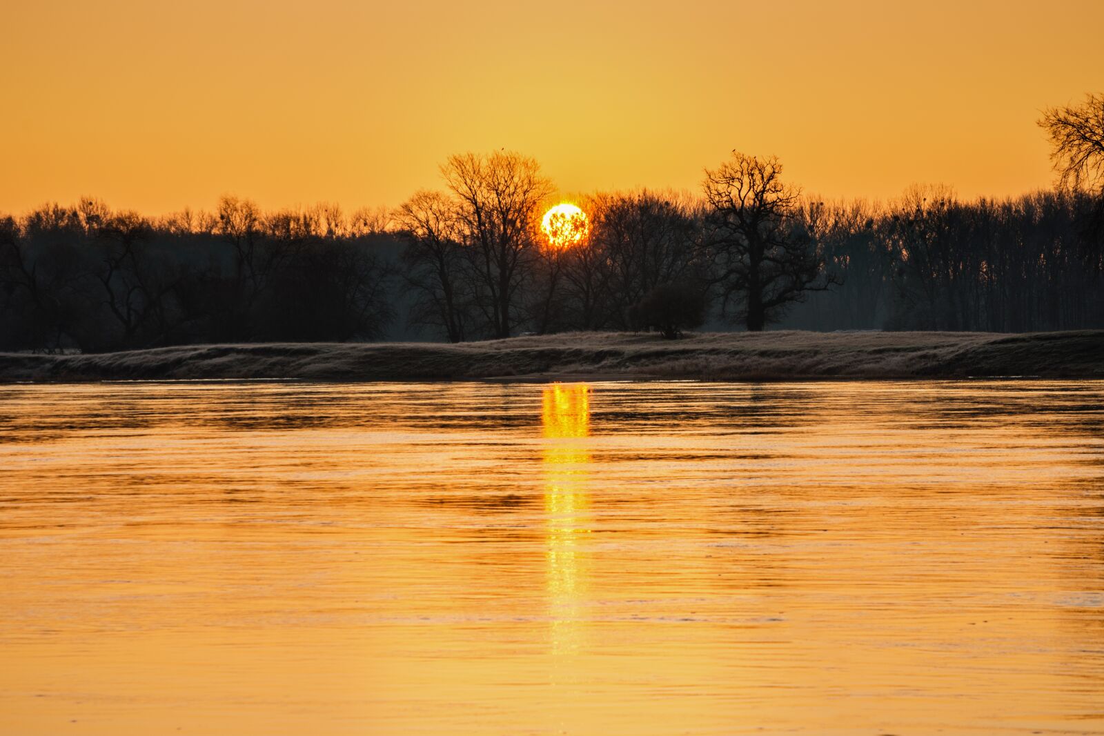 Nikon D7200 sample photo. Sunrise, river, trees photography