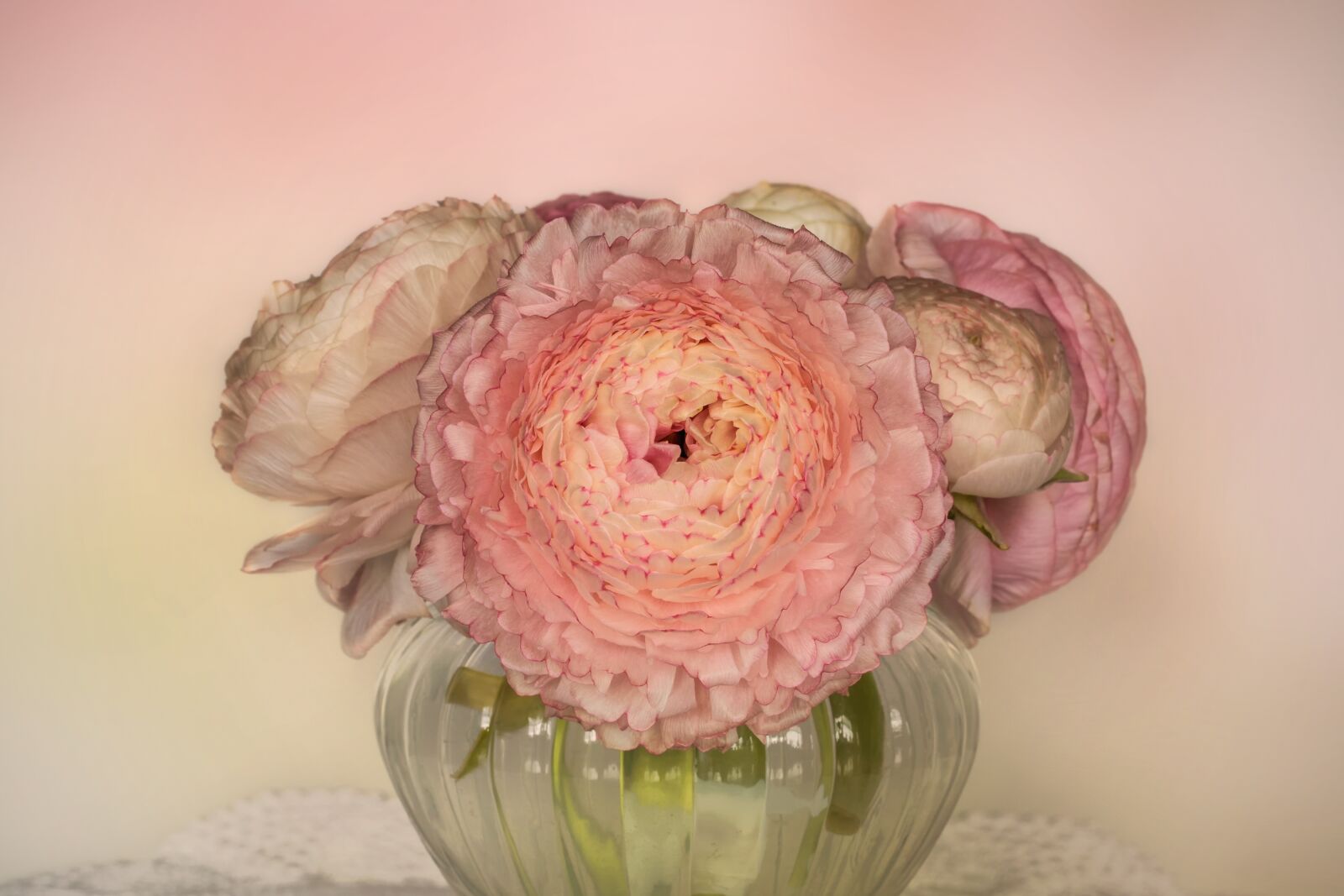 Canon EOS 7D Mark II sample photo. Nature, background, flowers photography