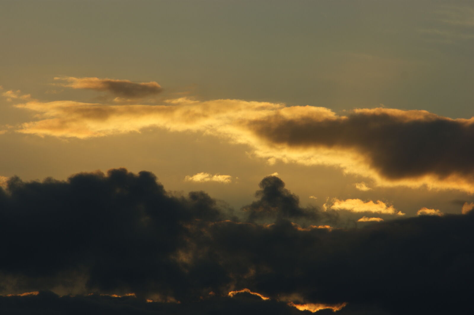 Sony Alpha DSLR-A390 sample photo