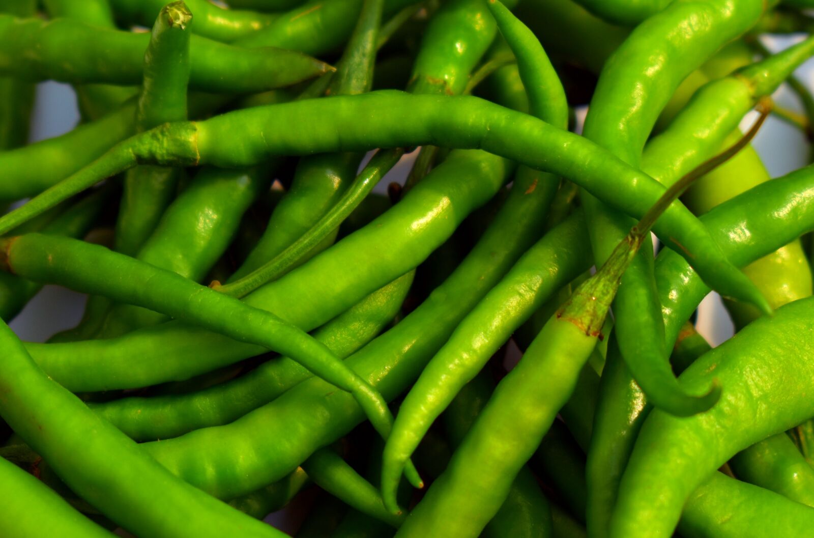 Nikon D5600 sample photo. Chillies, green, spice photography