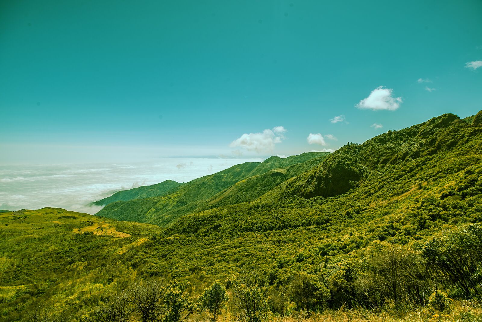 Nikon D600 sample photo. Landscape, nature, beautiful view photography