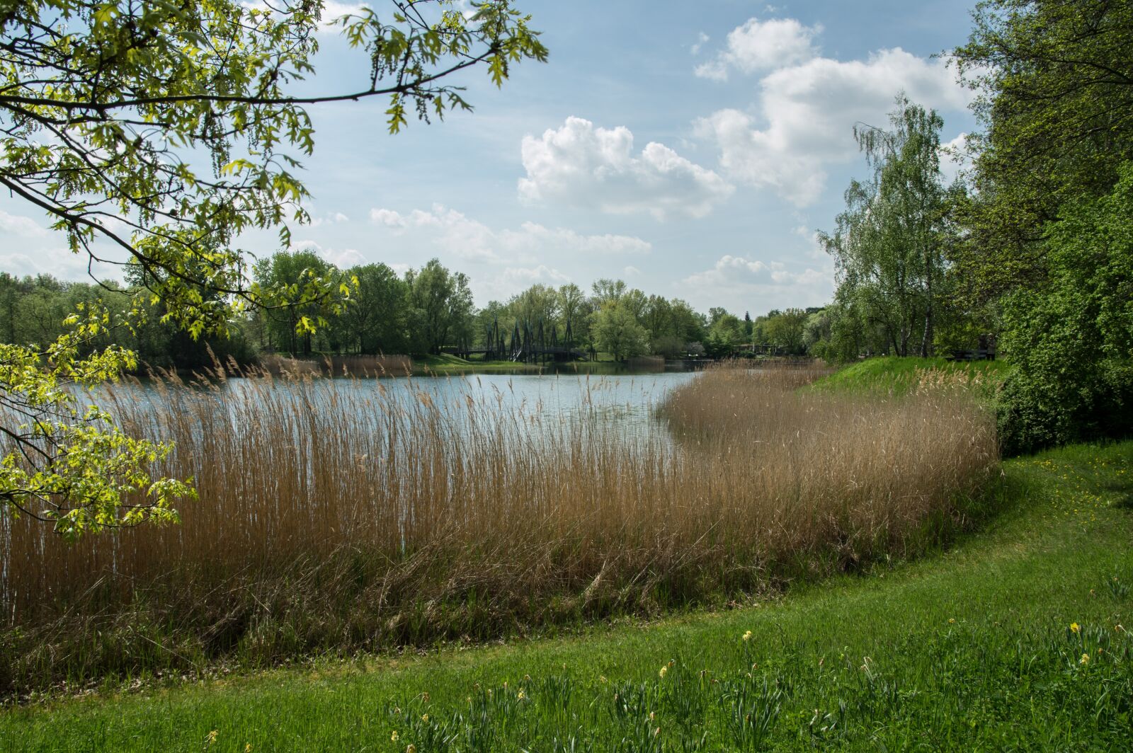 Pentax K-3 sample photo. Nature, lake, bank photography