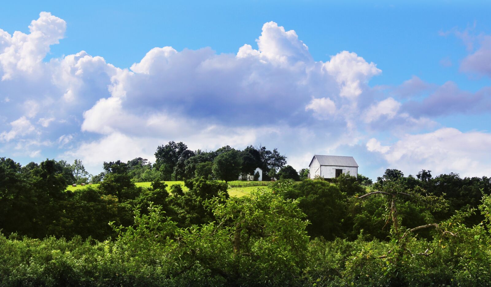 Canon EOS 600D (Rebel EOS T3i / EOS Kiss X5) sample photo. Landscape, virginia, shenandoah photography