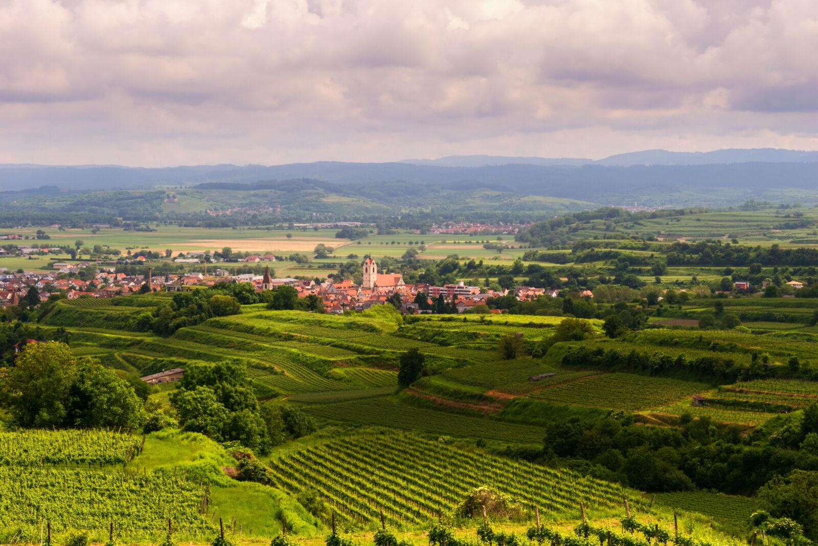 Nikon D3300 sample photo. Landscape, vineyards, terraces photography