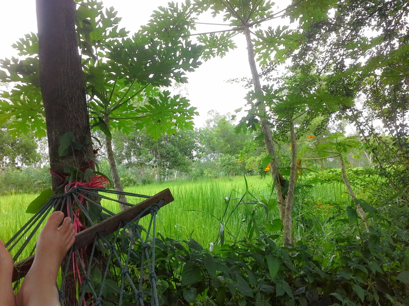 Samsung Galaxy Note 10.1 sample photo