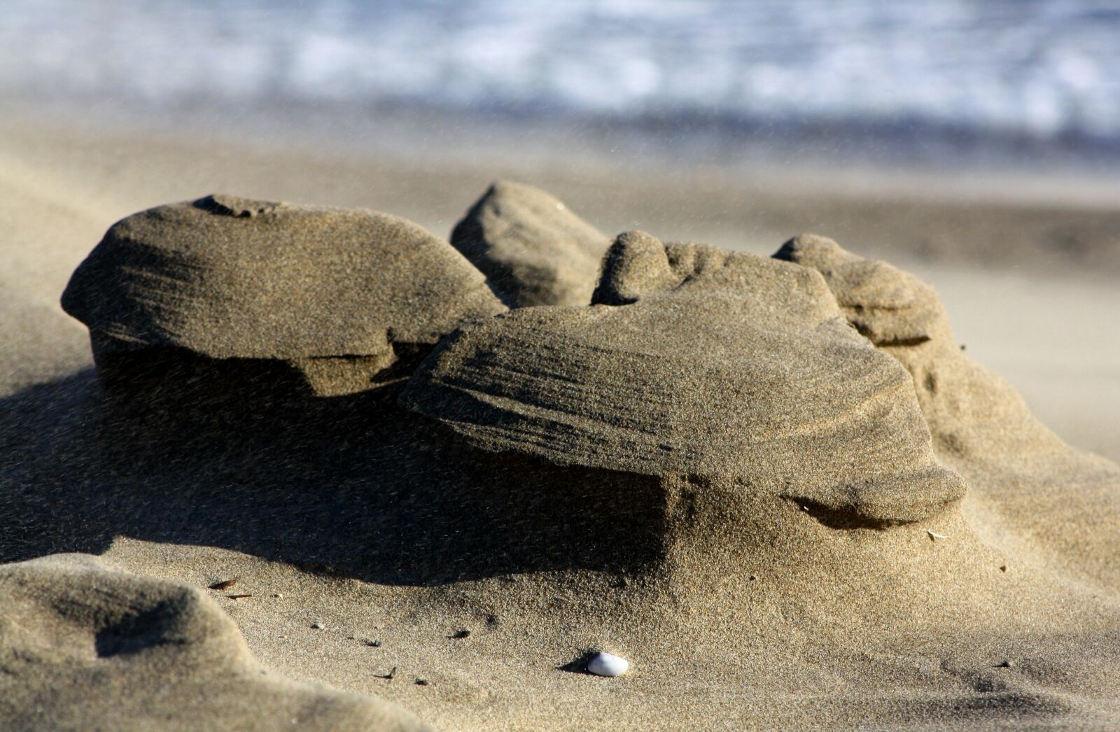 Canon EOS 1000D (EOS Digital Rebel XS / EOS Kiss F) sample photo. Sea, beach, sand photography