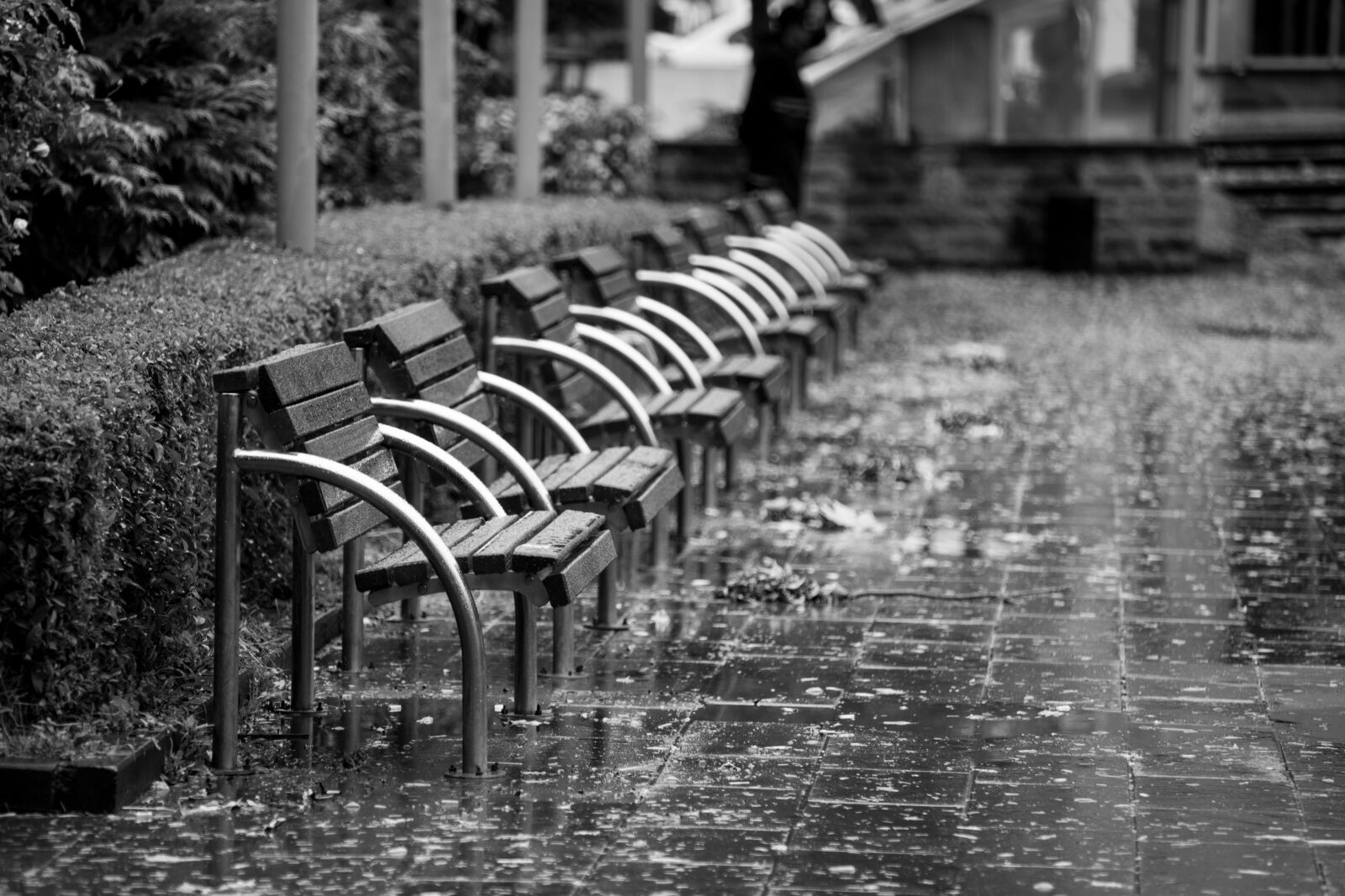 Canon EF 70-200mm F4L IS USM sample photo. Bank, street, avenue photography