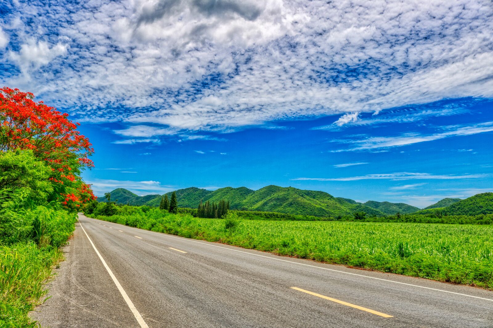 Canon EOS 750D (EOS Rebel T6i / EOS Kiss X8i) sample photo. Road, nature, landscape photography