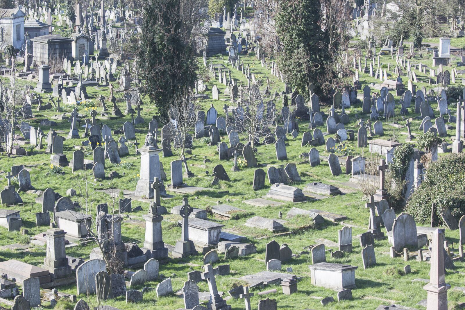 Canon EOS 650D (EOS Rebel T4i / EOS Kiss X6i) sample photo. Cemetery, graves, die photography