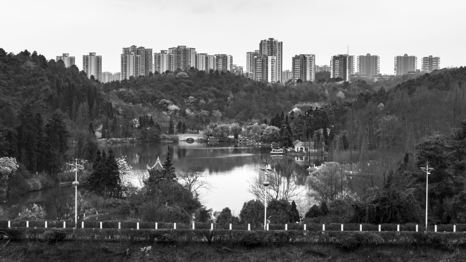Nikon D3400 sample photo. Black and white, lake photography