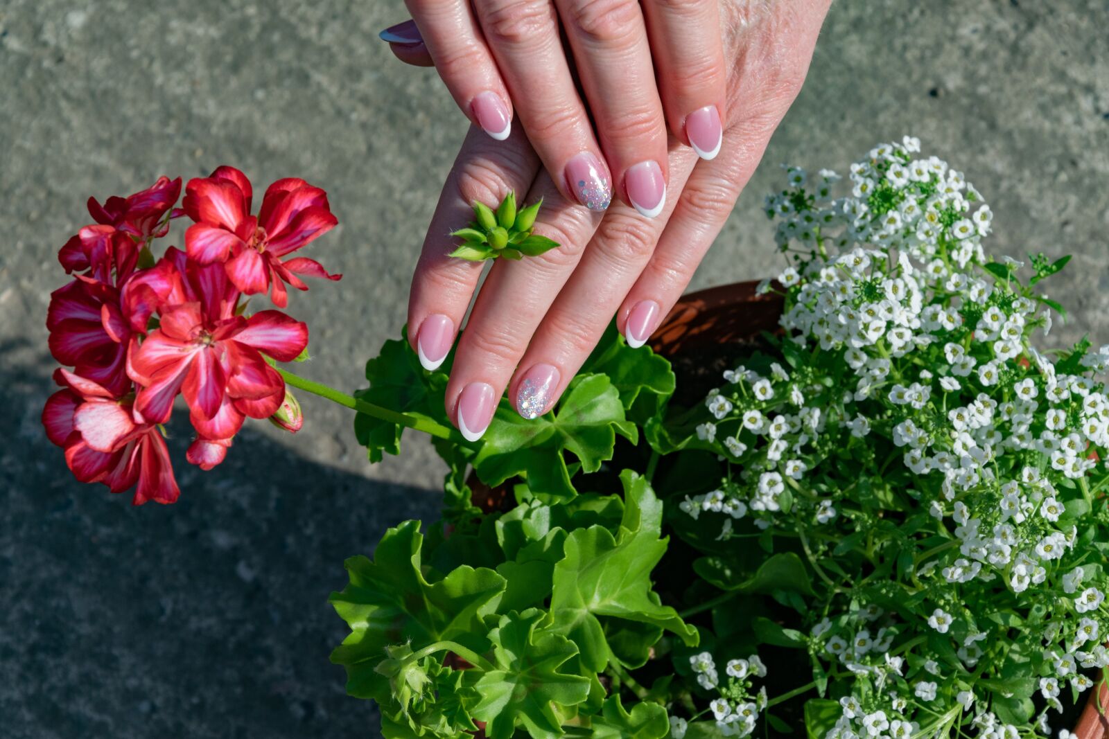 Nikon D3300 sample photo. Nail, hand, pink photography