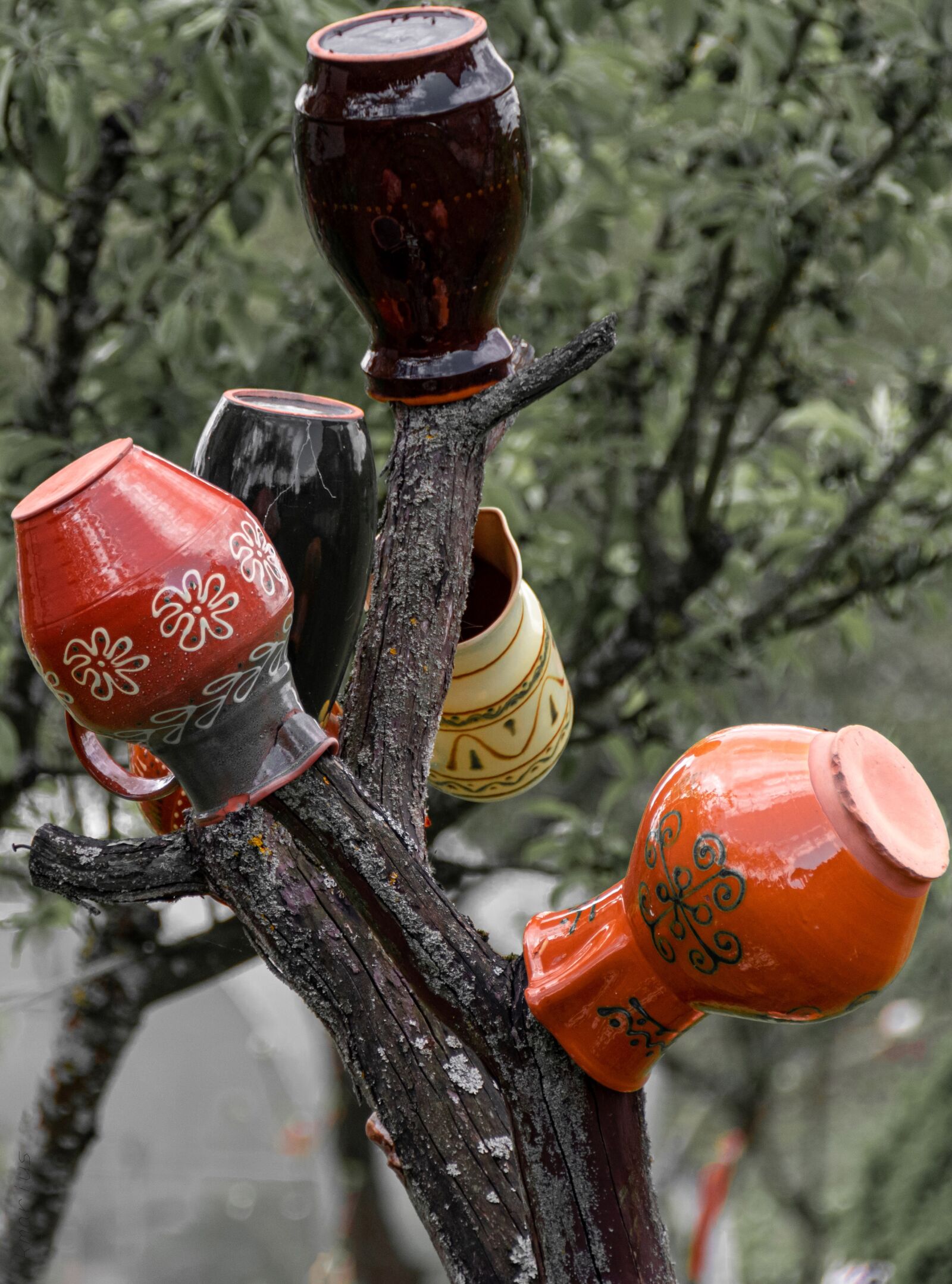 Nikon D5600 sample photo. Jugs, garden, summer photography