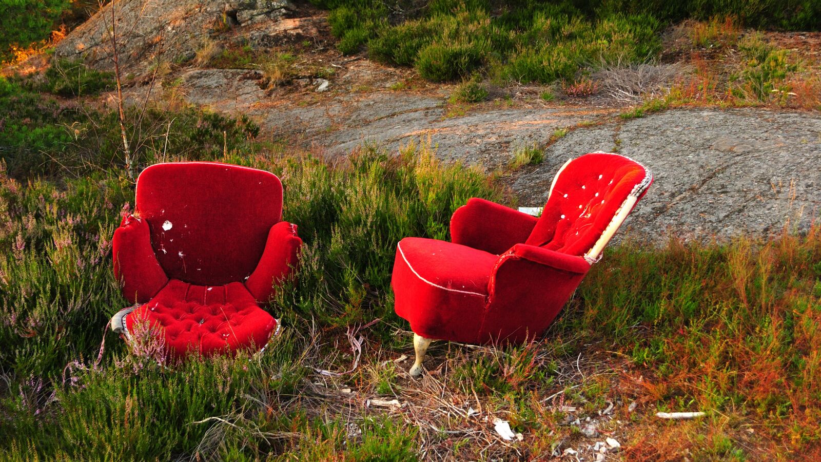 Nikon D3000 sample photo. Forest, chair, rock photography