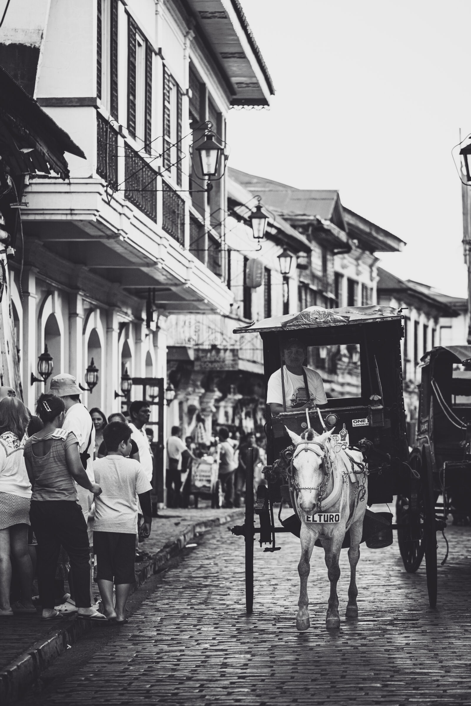 Canon EOS RP sample photo. Horse carriage - vigan photography