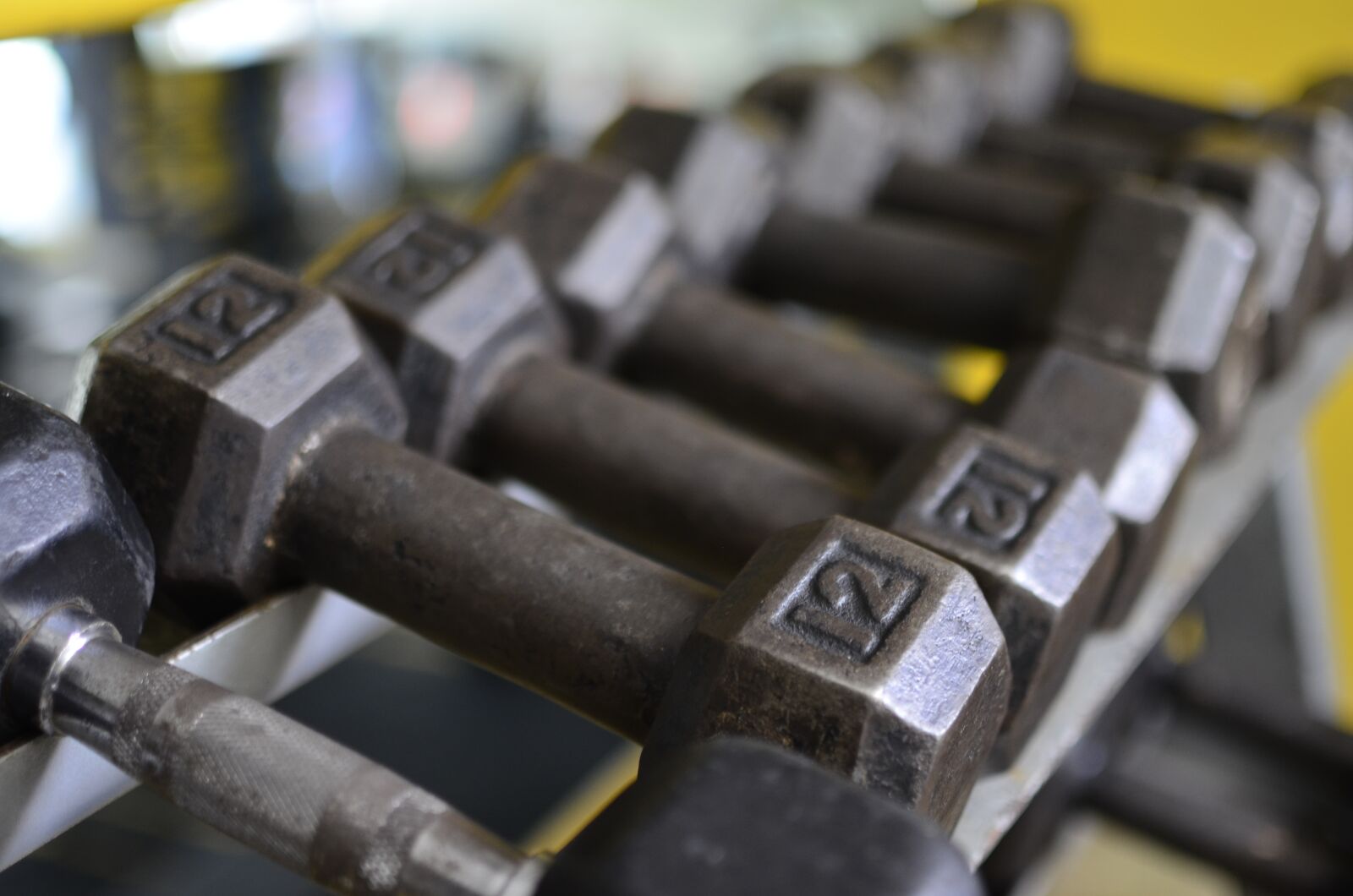 Nikon D5100 sample photo. Gym, fitness, fit photography