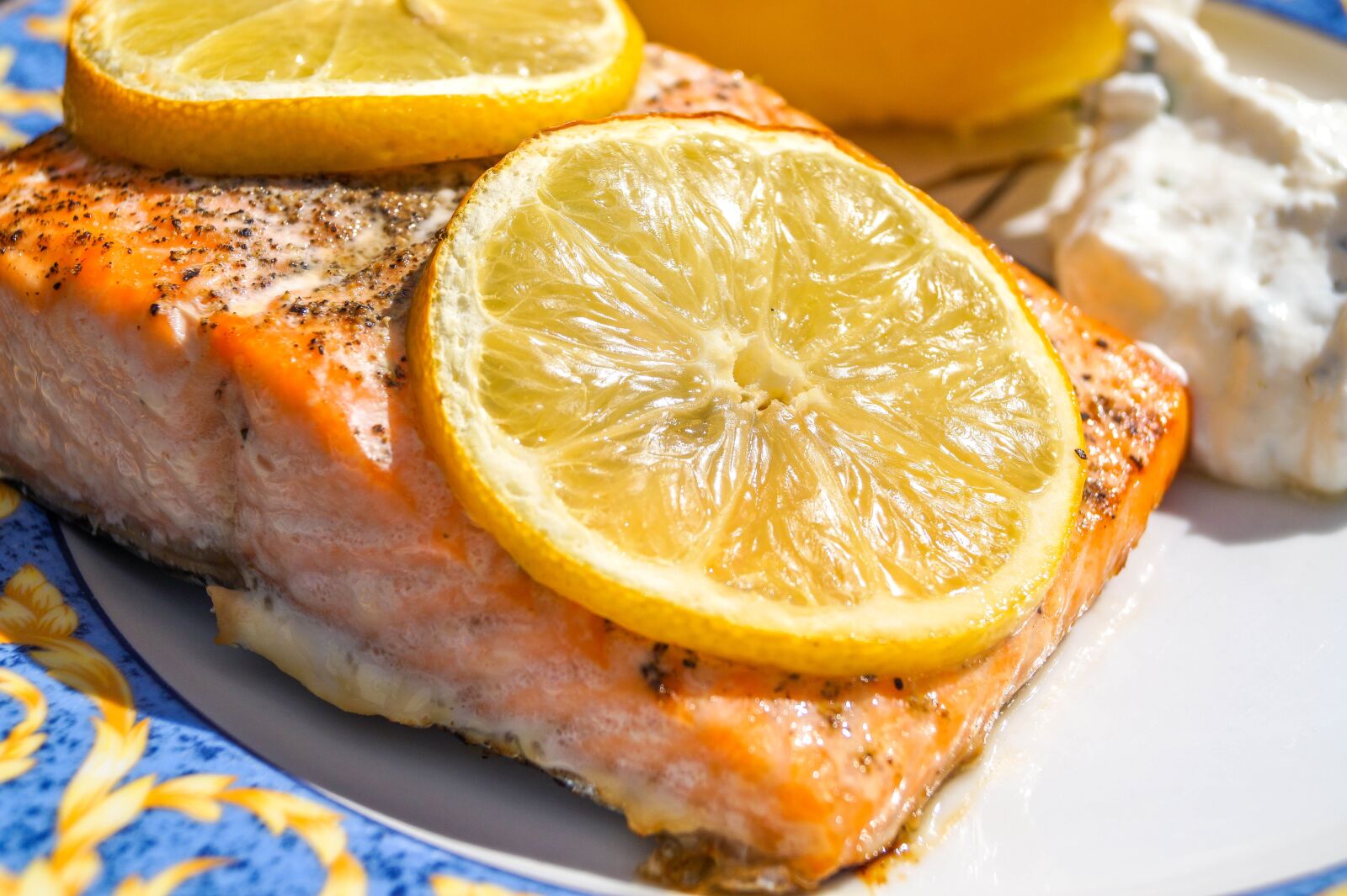 Sony DT 18-55mm F3.5-5.6 SAM II sample photo. Salmon, food, eat photography