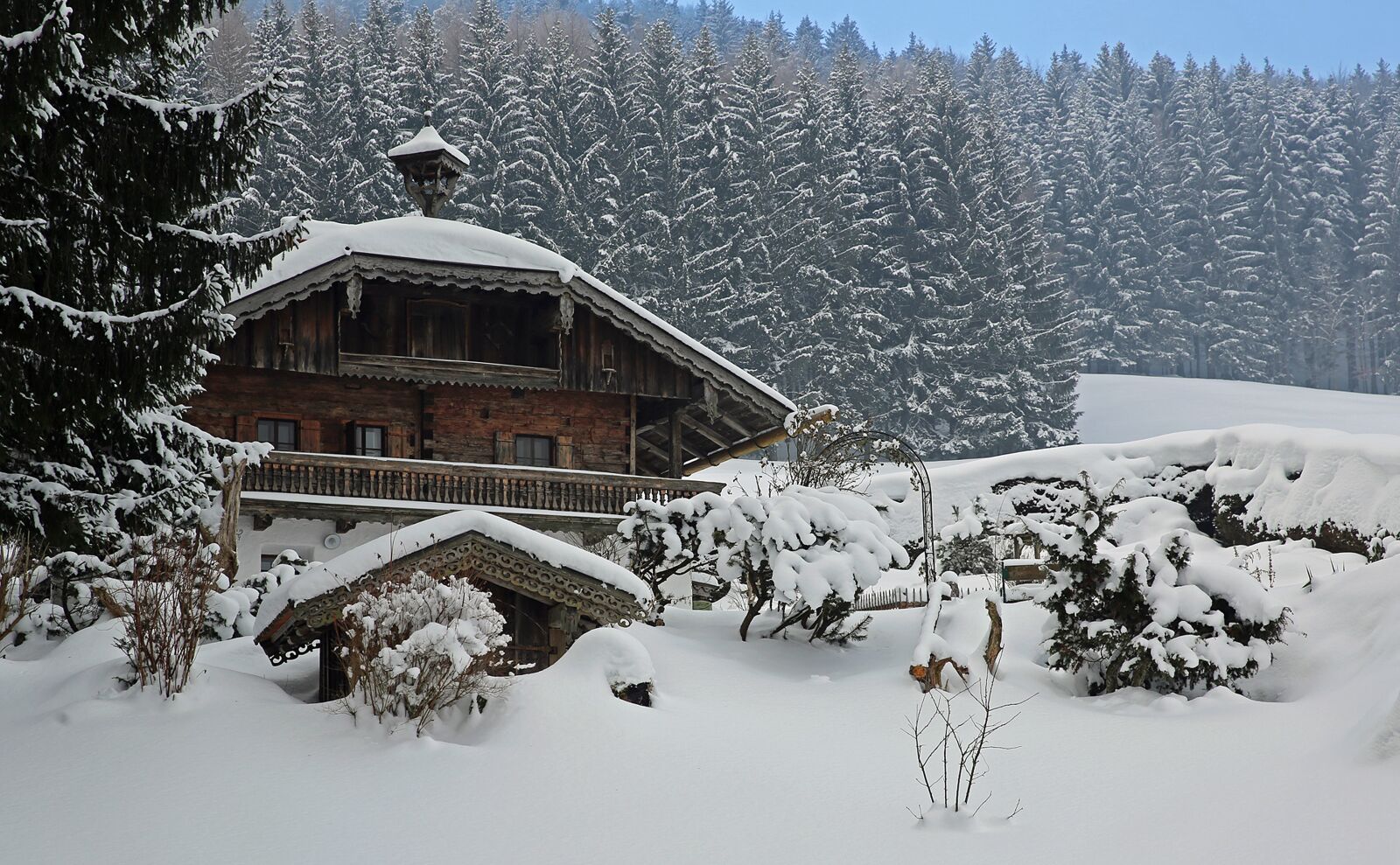 Canon EF 24-70mm F2.8L II USM sample photo. Winter, house, trees photography