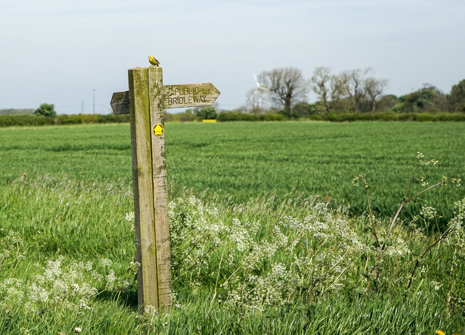 Sony a7R sample photo. Signpost, countryside, sign photography