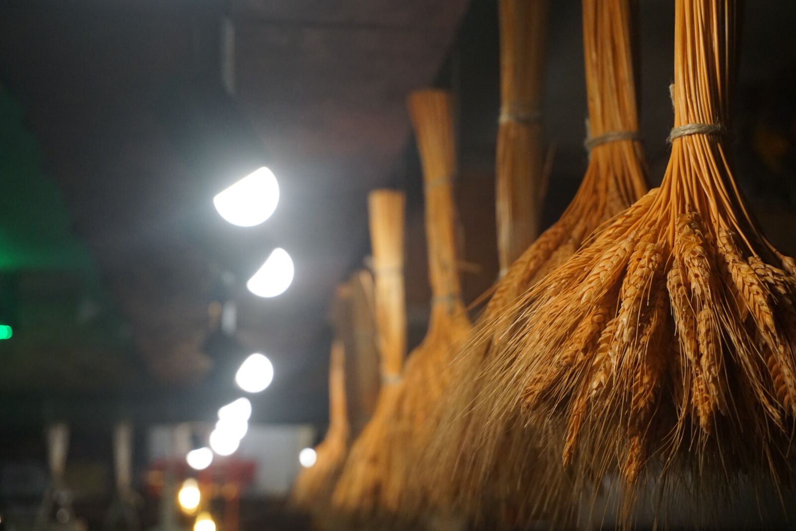 Sony a6000 sample photo. Light, illuminated call out photography