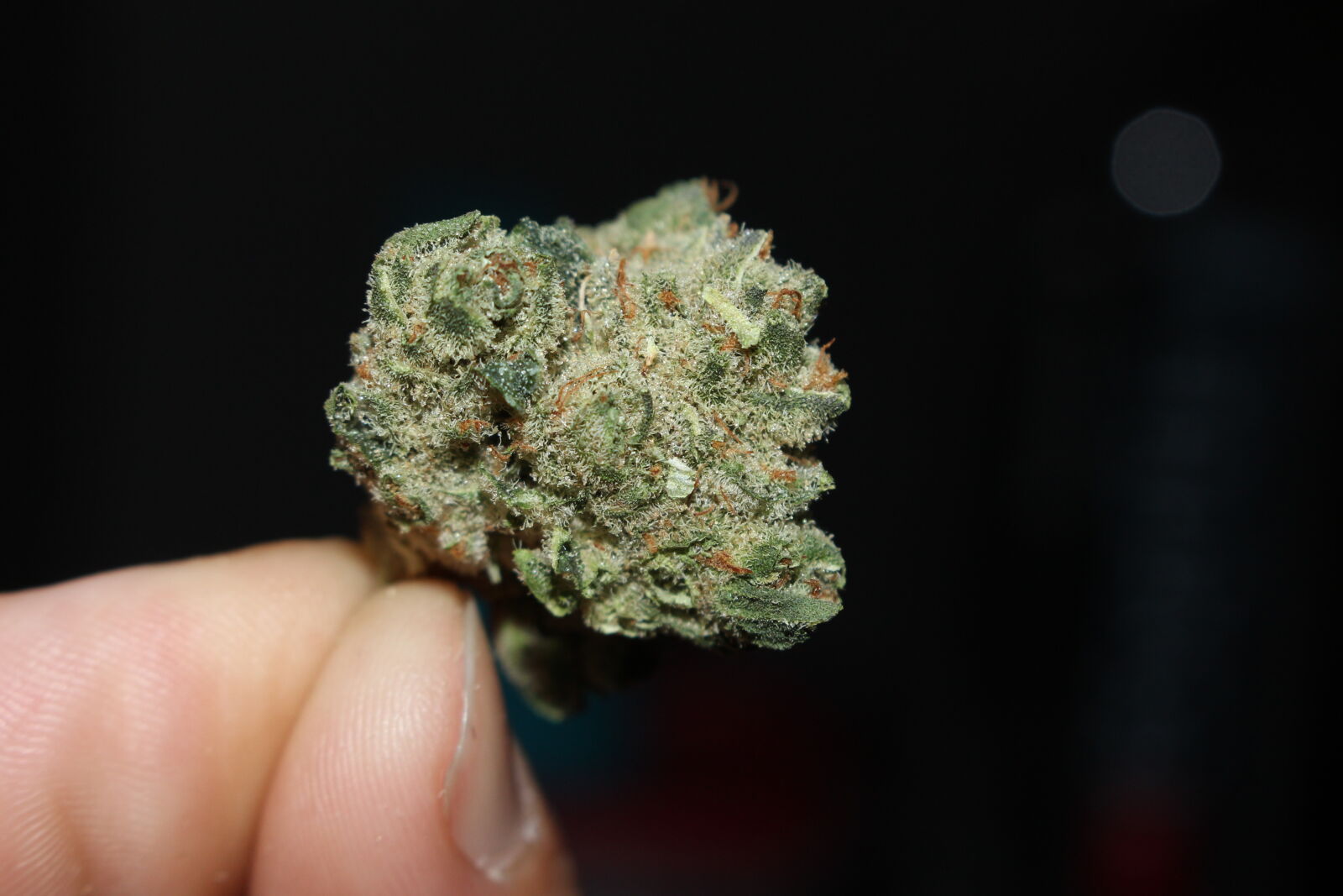 Canon EOS 700D (EOS Rebel T5i / EOS Kiss X7i) sample photo. 420, bud, cannabis, close photography