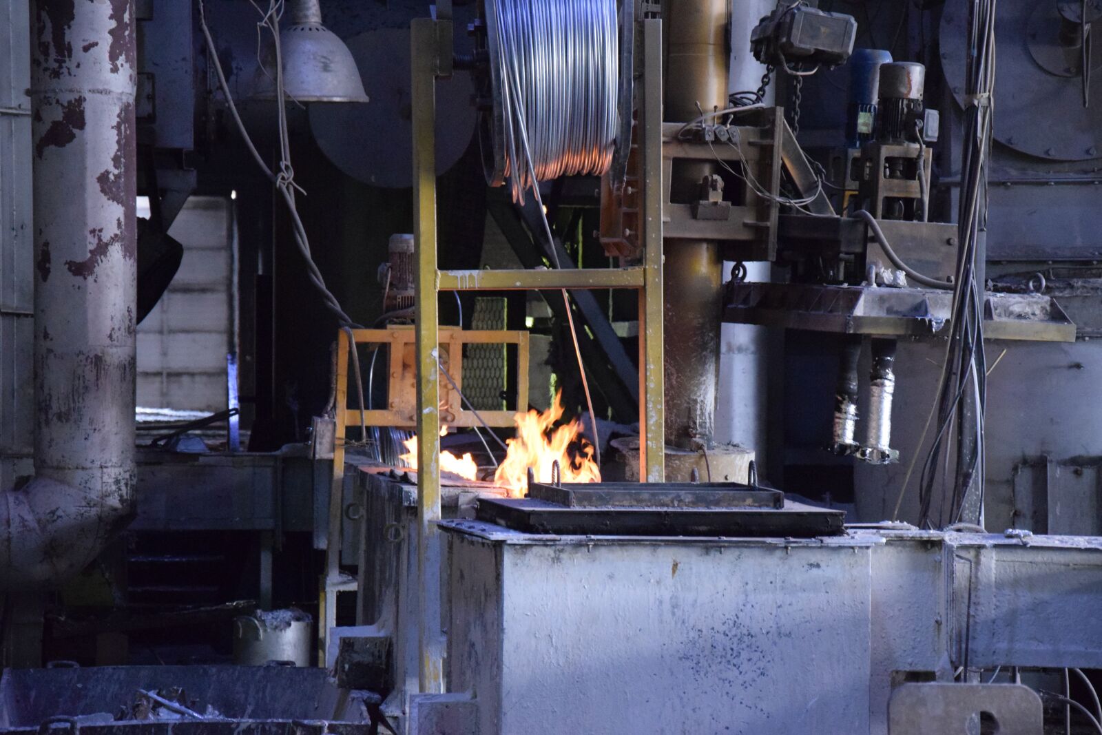 Nikon D5300 sample photo. Plant, aluminium, production photography