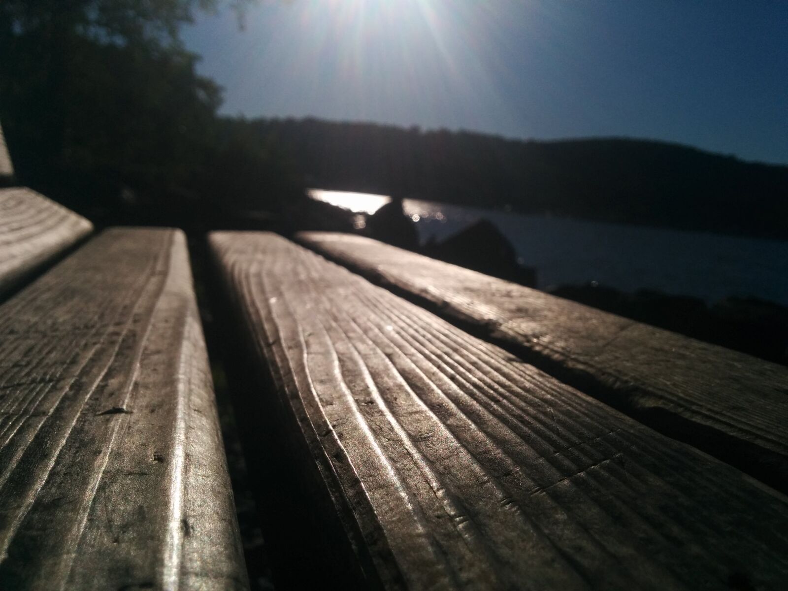 LG Nexus 5 sample photo