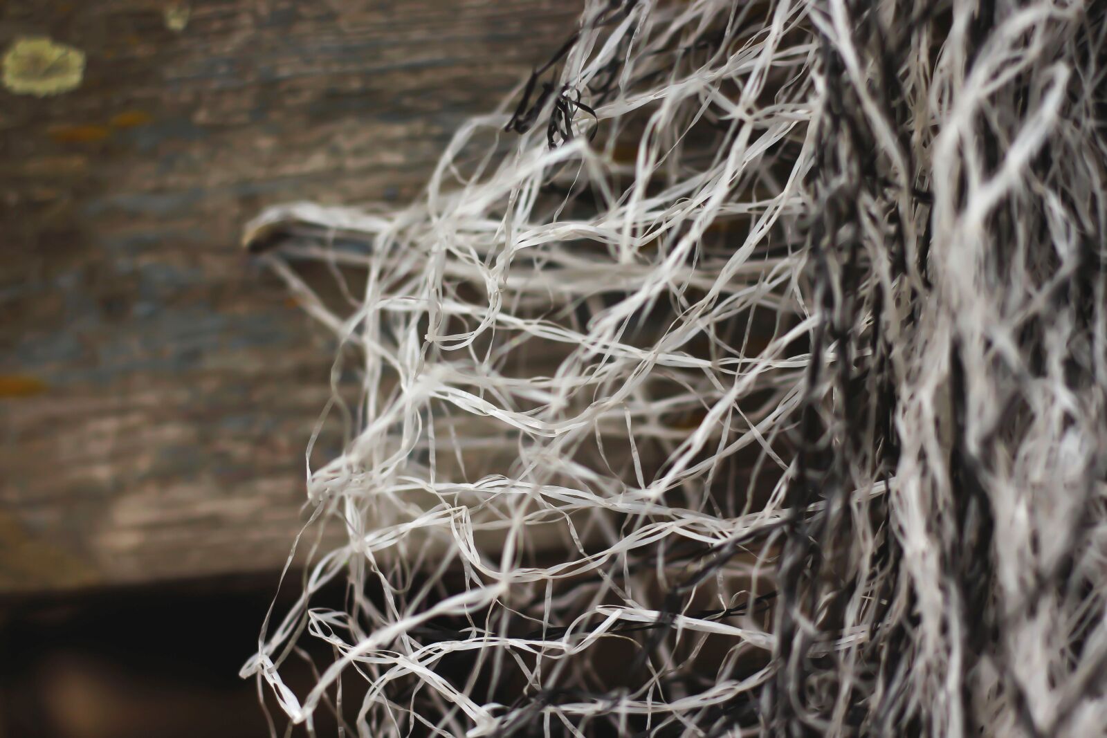 Canon EOS 700D (EOS Rebel T5i / EOS Kiss X7i) sample photo. Web, fishing net, power photography