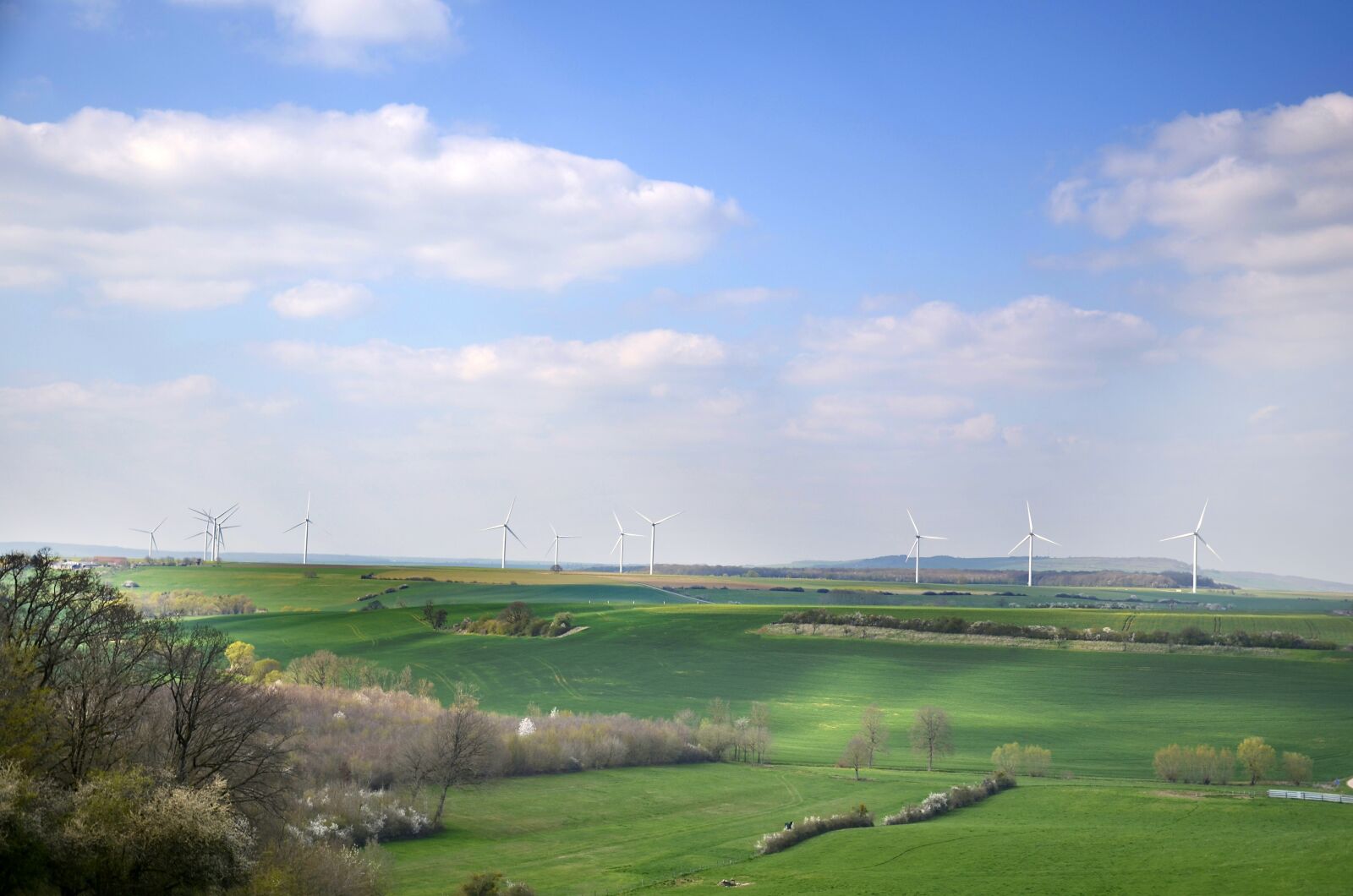 Nikon D5100 sample photo. Sustainable development, wind, high photography
