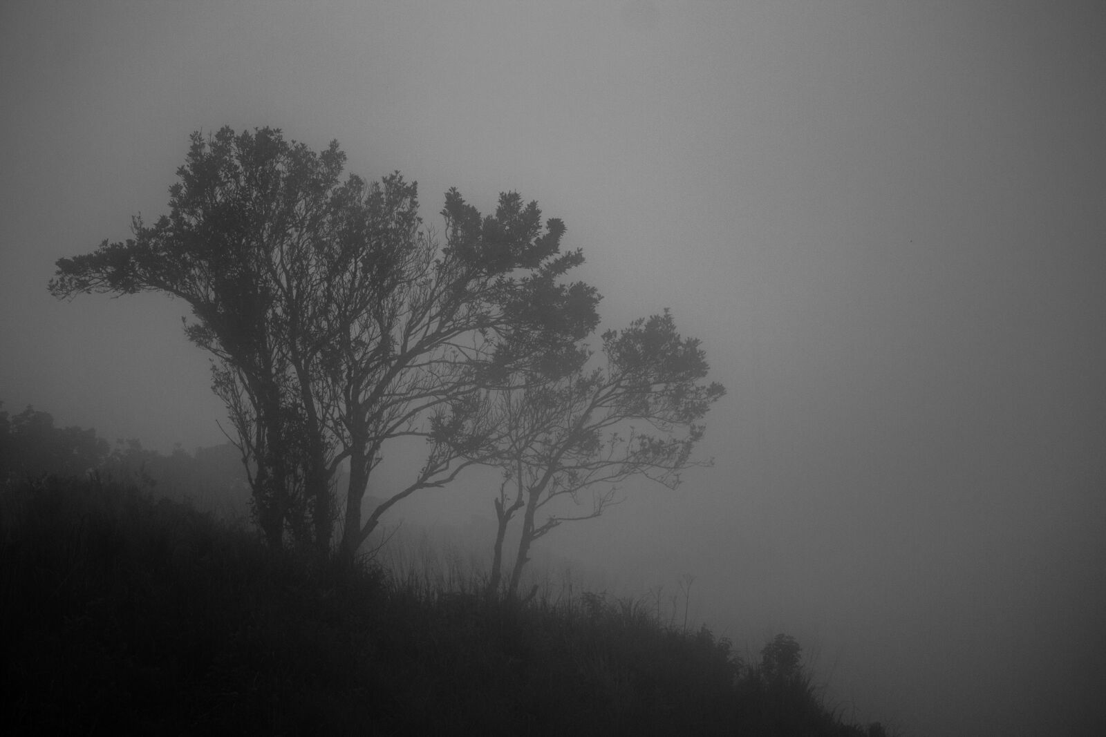 Canon EOS 1100D (EOS Rebel T3 / EOS Kiss X50) sample photo. Mist, landscape, fog photography