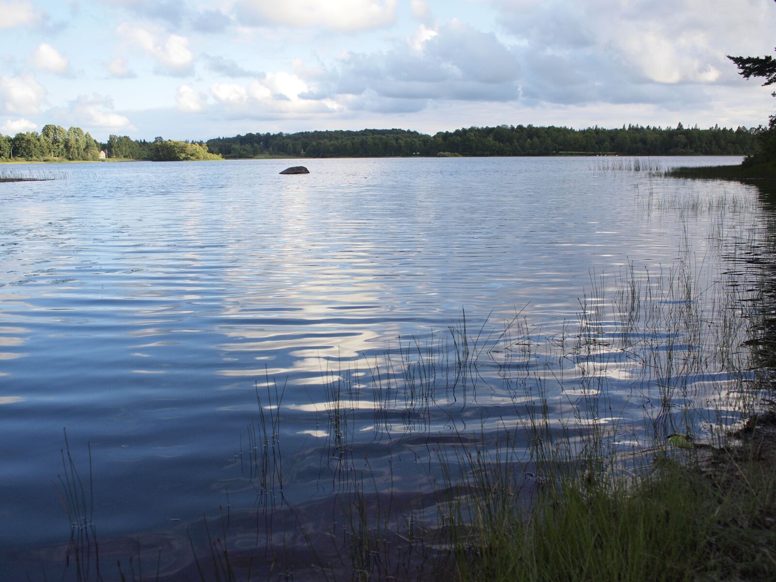 Olympus PEN E-P1 sample photo. Lake, fishing, summer photography