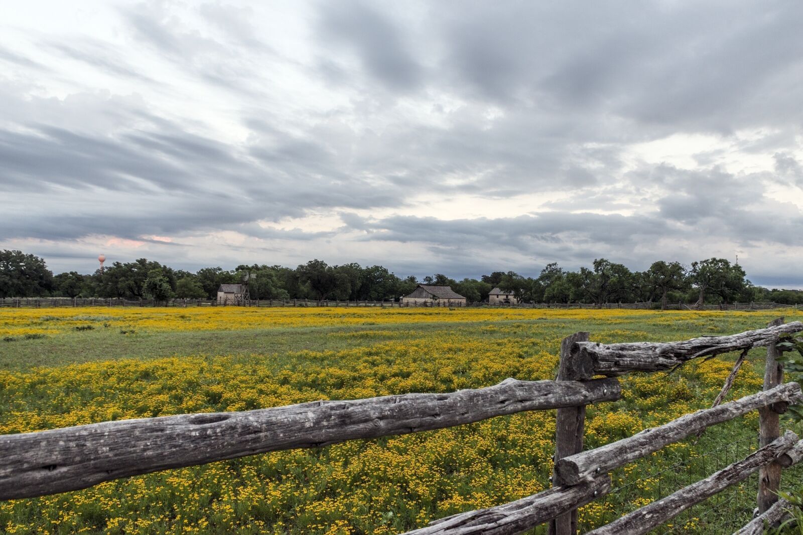 Nikon D800E sample photo. Farm, agriculture, wildflowers photography