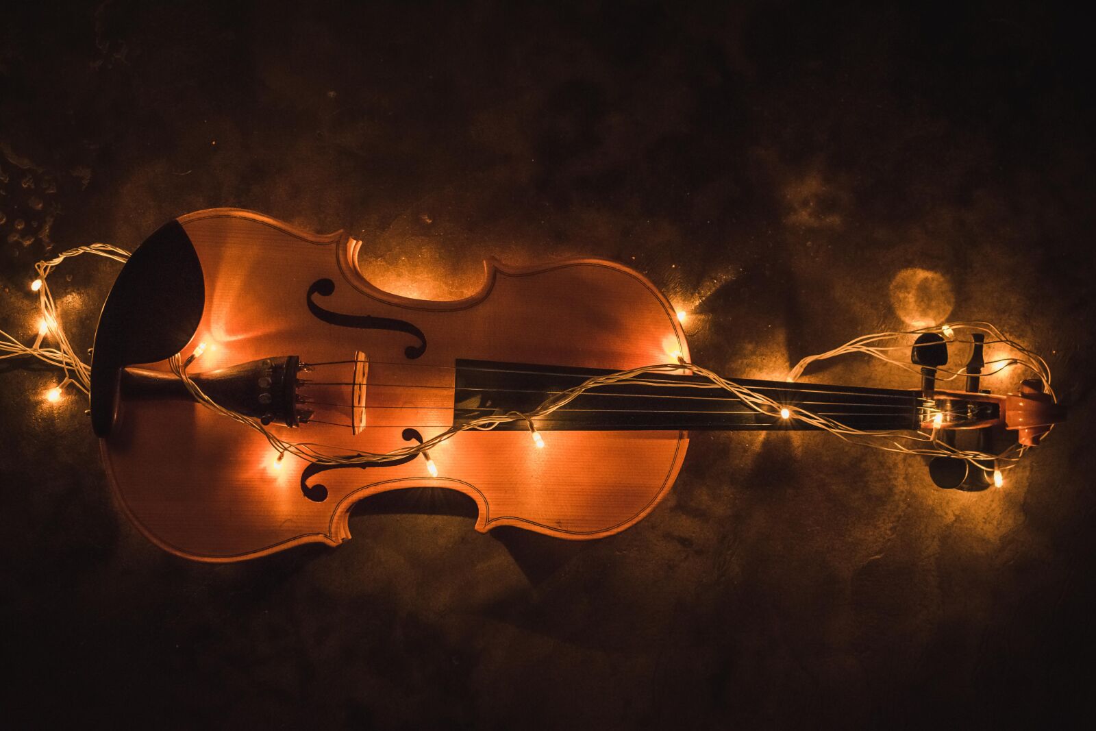 Nikon D3400 sample photo. Violin, lighting, creative photography