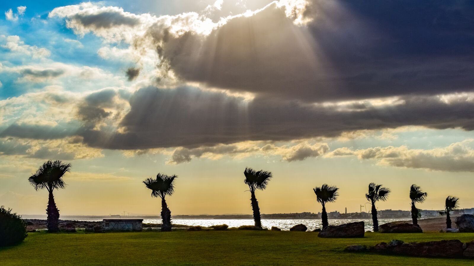 Nikon D3300 sample photo. Trees, palm trees, coastal photography