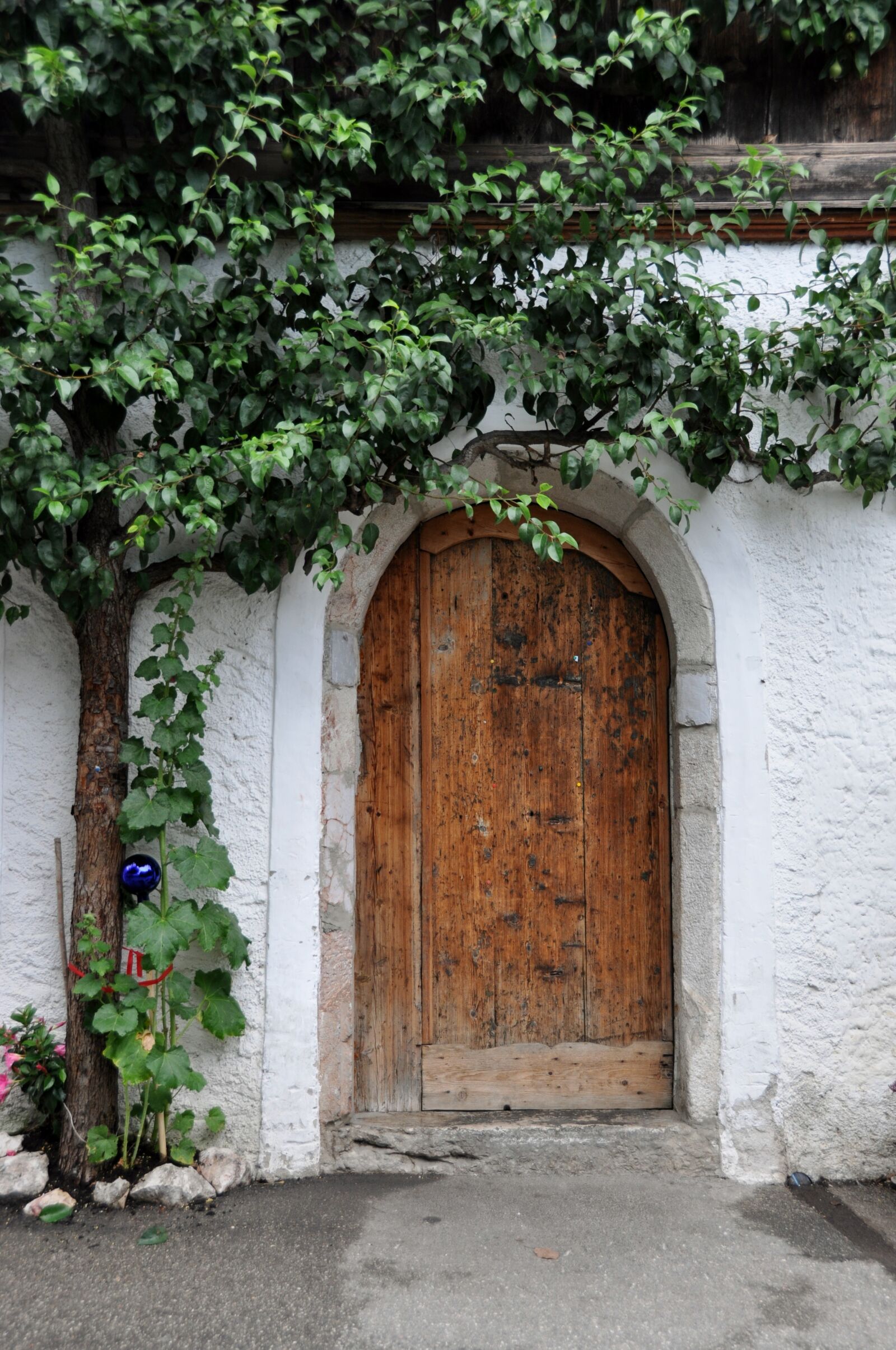Nikon D90 sample photo. Door, tree, house photography