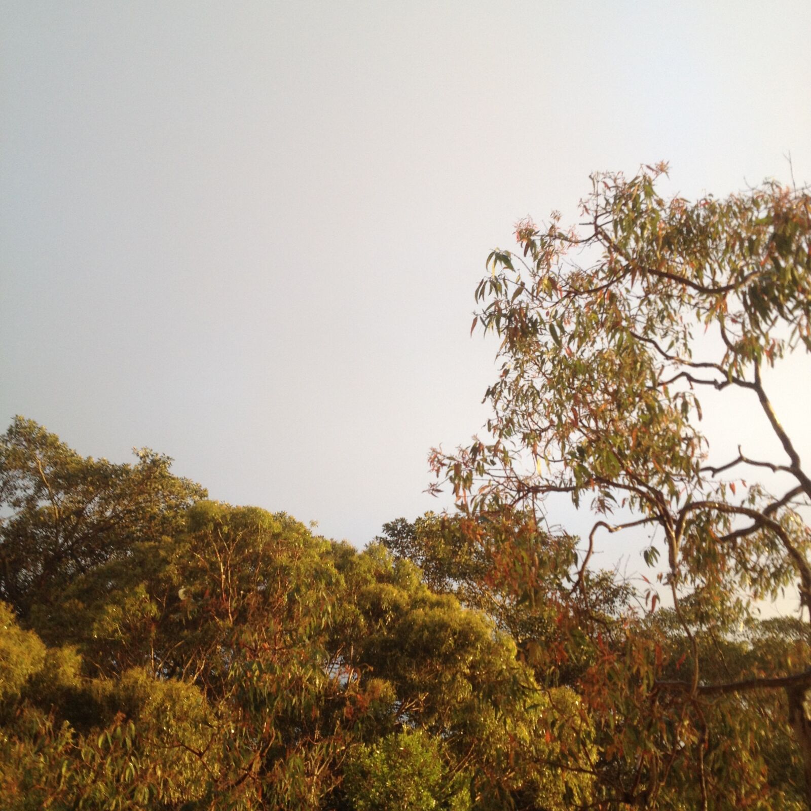 Apple iPhone 4S sample photo. Glow, grey, sky, sunset photography