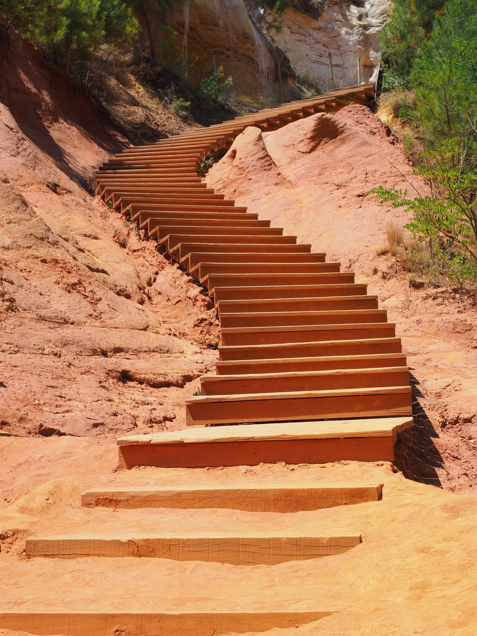 Olympus OM-D E-M1 + Olympus M.Zuiko Digital ED 12-40mm F2.8 Pro sample photo. Stairs, gradually, nature park photography