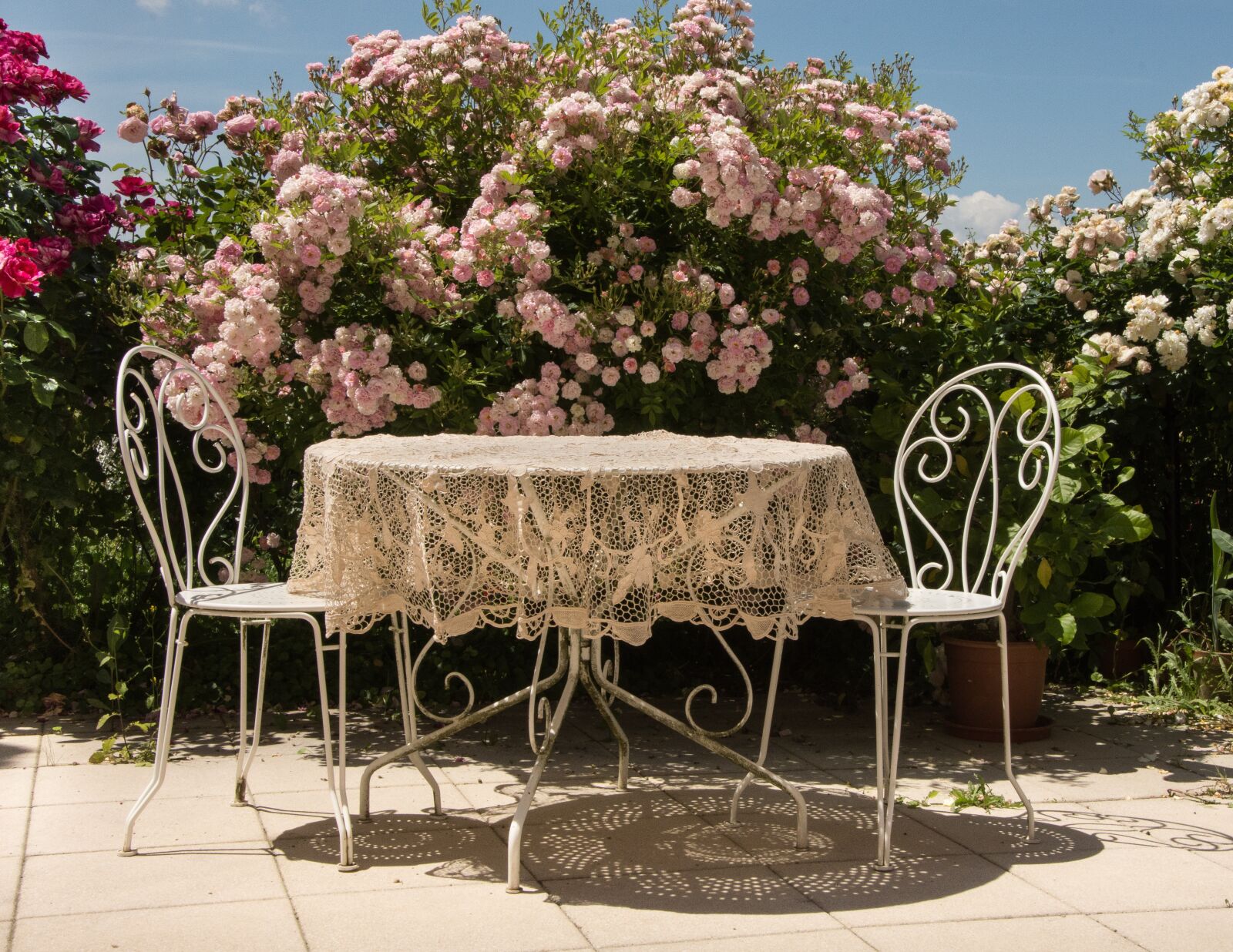 Nikon D7200 sample photo. Table, summer, roses photography