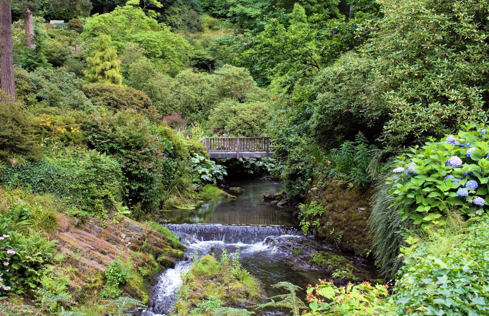 Nikon D3300 sample photo. Bridge, gardens, wales photography