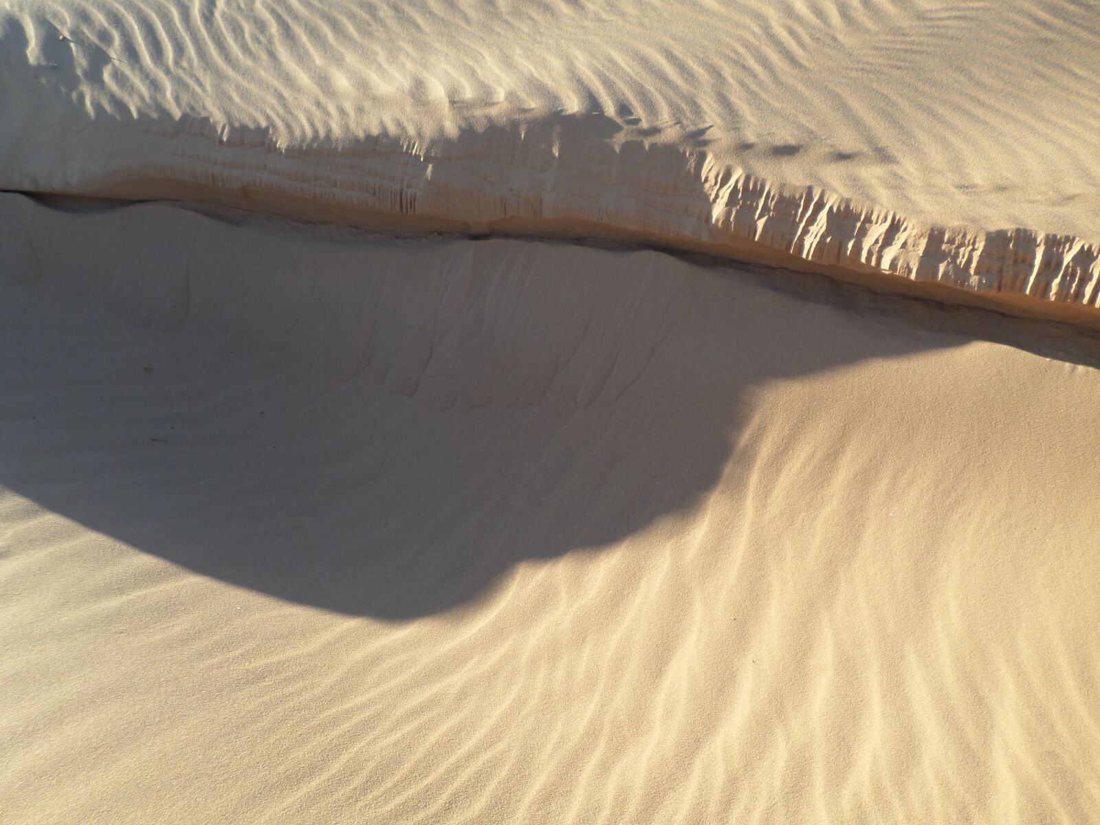 Samsung ST150F/ST151F/ST152F sample photo. Sahara, algeria, dunes photography